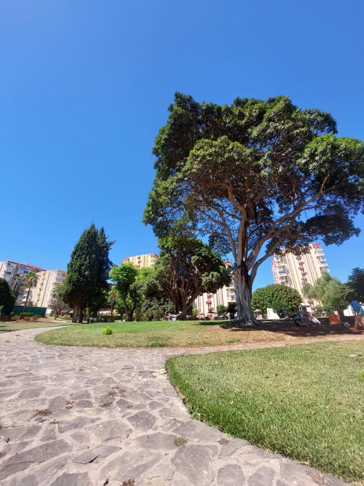 Studio Vista Costa Del Sol Benalmádena Kültér fotó
